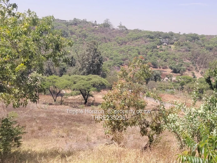 Enormous Investment Opportunity 