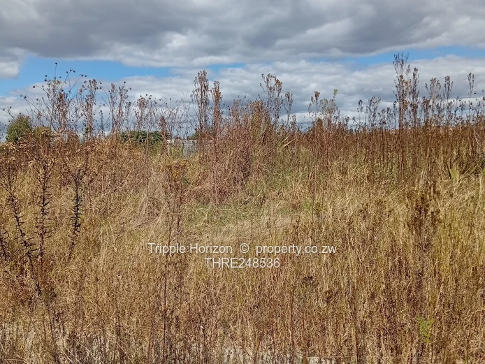 460m² Vacant Stand — Erasmus Park, Ruwa (Gated)