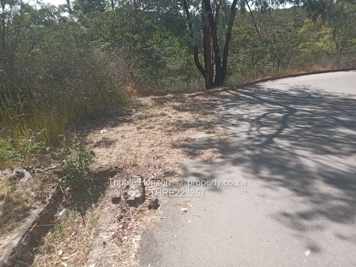 7,000 m² Treed Stand in Umwinsidale – Tarred Road in a built up secure area