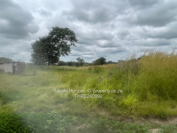 18,000m² Norton Farm — Orchard, Grazing & Main Access