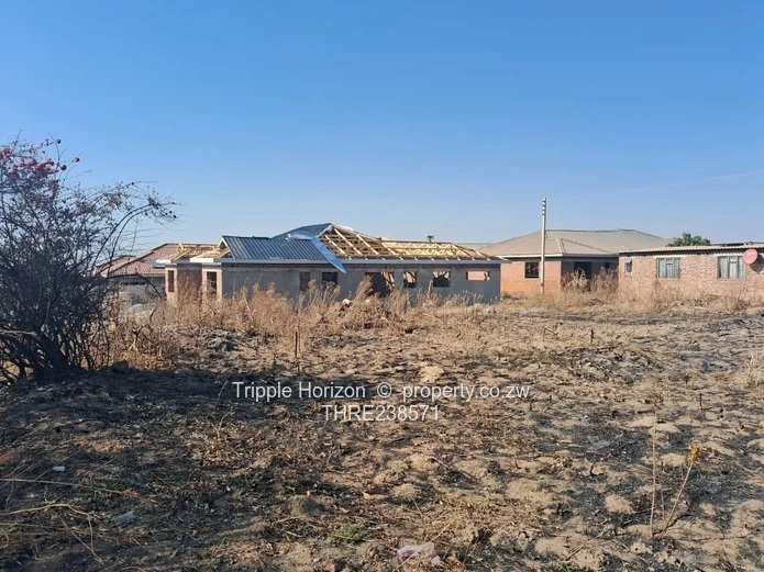 Glaudina Stand For Sale