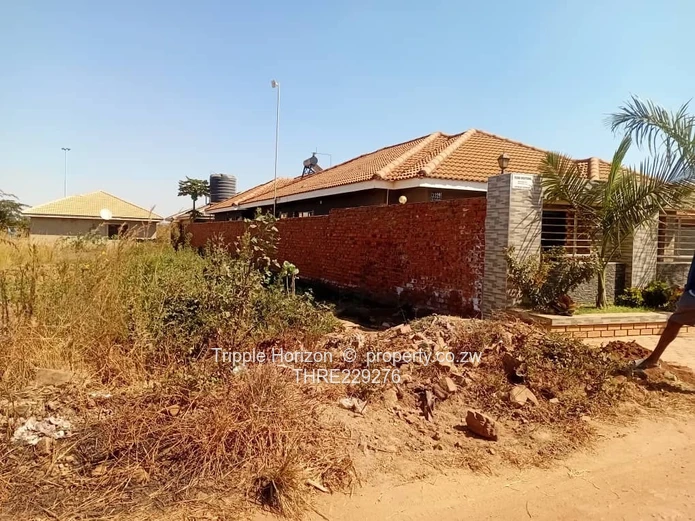 Glaudina stand for sale 