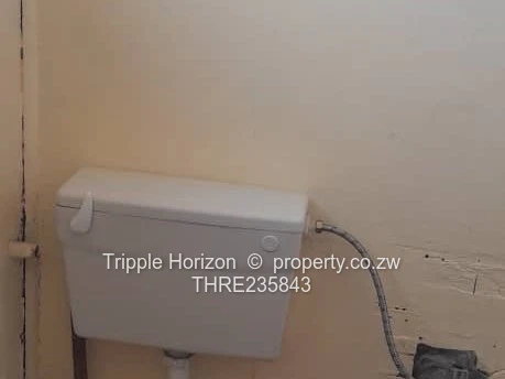  Avenues Bachelor Flat, Harare CBD — Borehole & Yard (Sole Mandate)