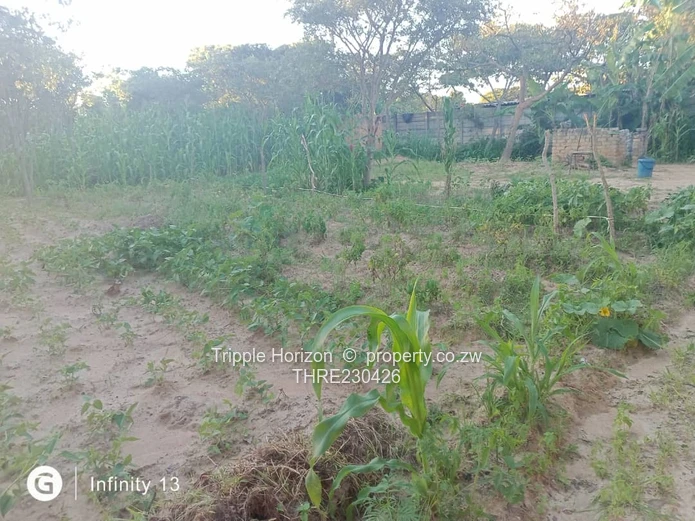 2,000m² Stand in Marondera – Main Road Frontage & Services (Sole Mandate)