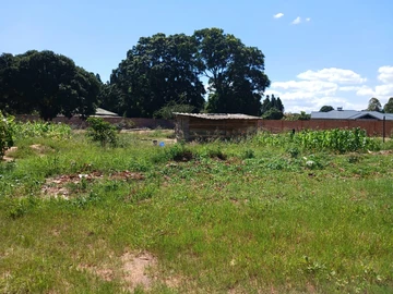 Stands & Residential Land