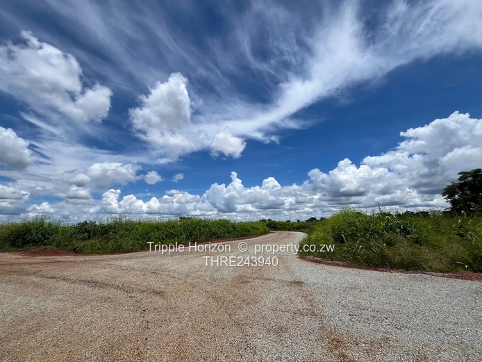 Mary Park Norton stands 