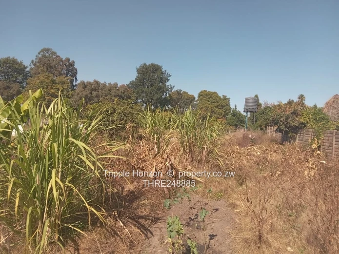 9,200m² Hatfield Land — Subdividable, Wall & Water