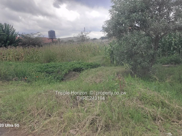 Great investment opportunity 