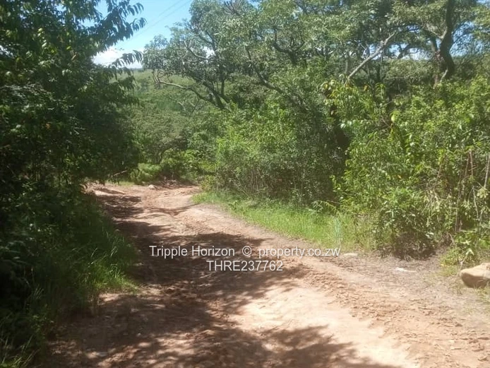 Farm for sale in Nyanga