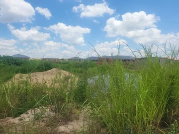 Stands & Residential Land