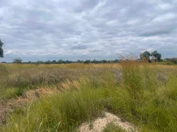 Farm & Agricultural Land