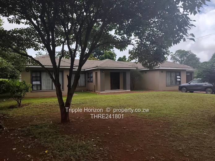 Borrowdale- Sam Levy (Sole Mandate)