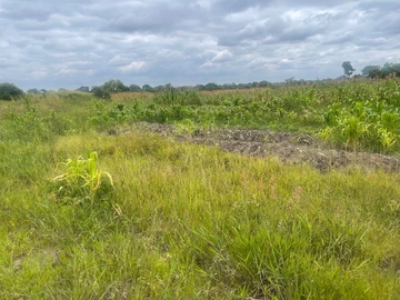 Farm & Agricultural Land