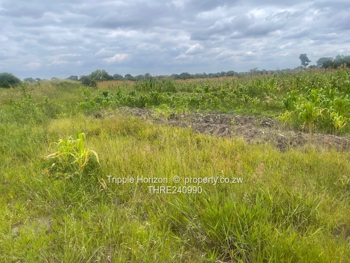 18,000m² Norton Farm — Orchard, Grazing & Main Access