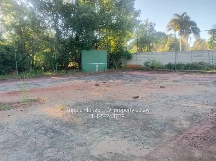 Excellent Location! Samy Levy Village!