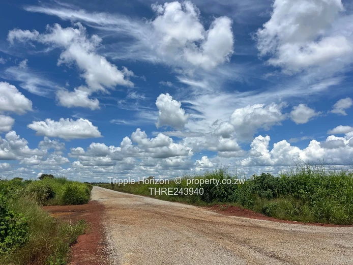 Mary Park Norton stands 