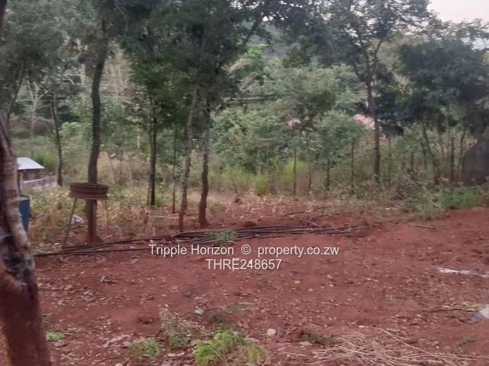 2000m² Shawasha Hills Stand — Main Road Frontage, Red Soil & Outbuilding