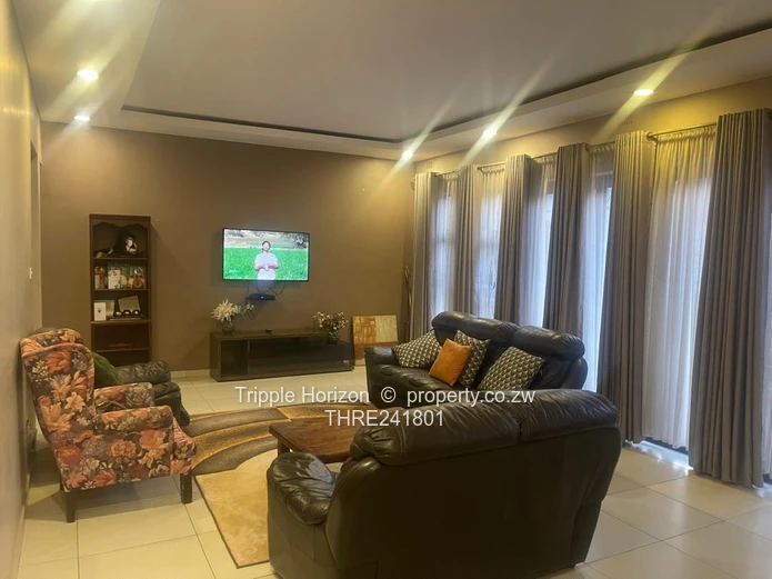 Borrowdale- Sam Levy (Sole Mandate)