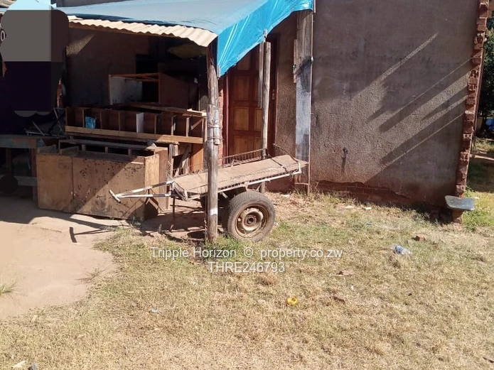 Warren Park 3-Bed House with Yard & Good ZESA with clean council cession.