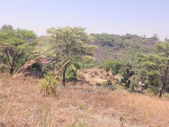 Enormous Investment Opportunity 