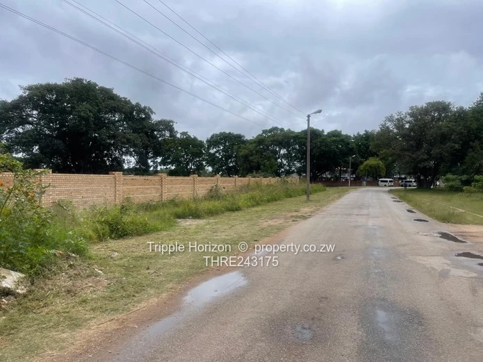 Stands Galore!! Investment Opportunity 