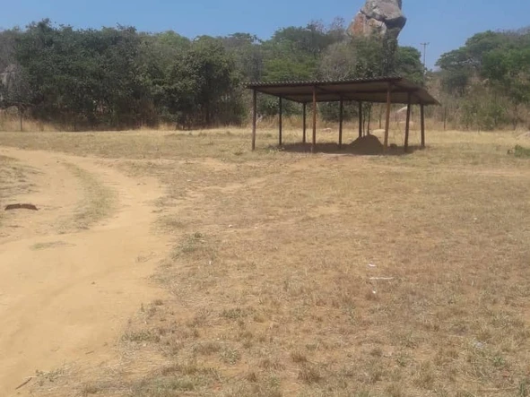 Farm & Agricultural Land