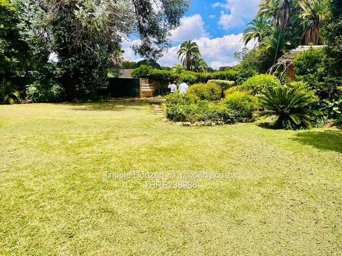 Spacious 4-Bed Home on 2200m² with Borehole – Mandara