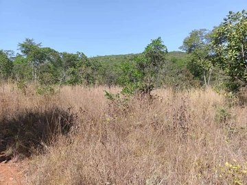 Farm & Agricultural Land