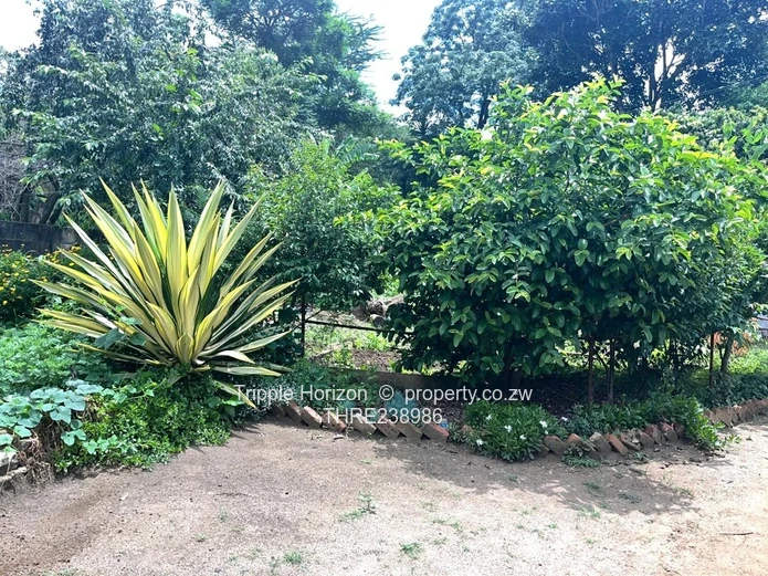 Spacious 4-Bed Home on 2200m² with Borehole – Mandara