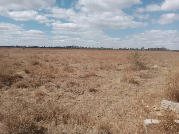 Farm & Agricultural Land