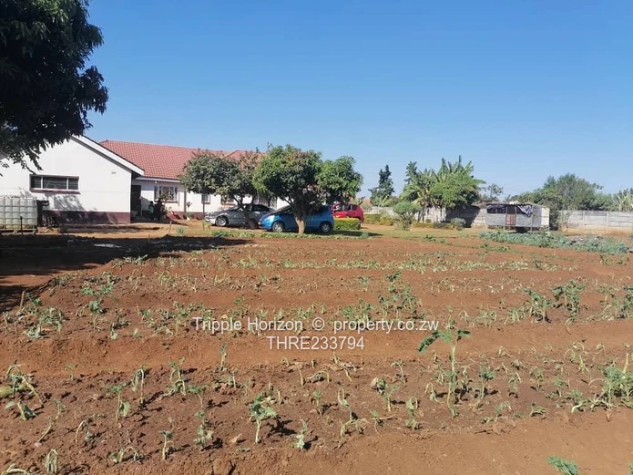 Norton: 4-Bed Home, Spacious Garden & Borehole on 2600m²