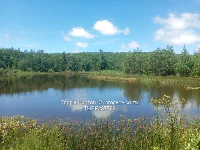 Farm for sale in Nyanga