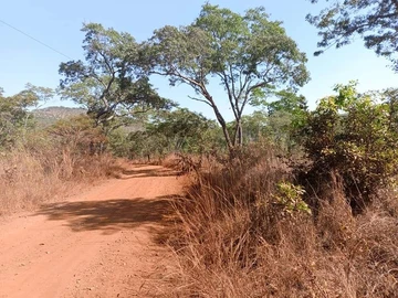 Farm & Agricultural Land