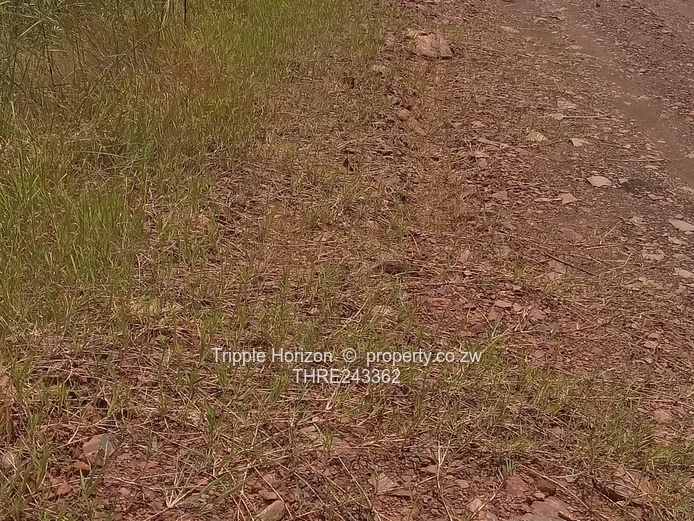 Fairview Westgate stand for sale 