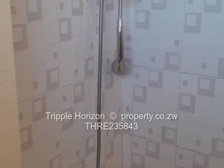  Avenues Bachelor Flat, Harare CBD — Borehole & Yard (Sole Mandate)