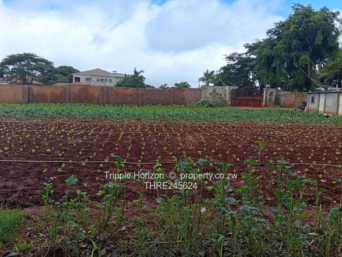 Gletwin shawasha 3 bedroom cottage for sale 