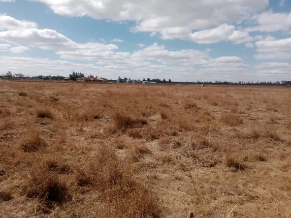 Farm & Agricultural Land