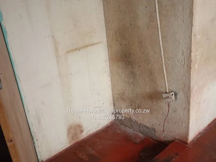 Warren Park 3-Bed House with Yard & Good ZESA with clean council cession.