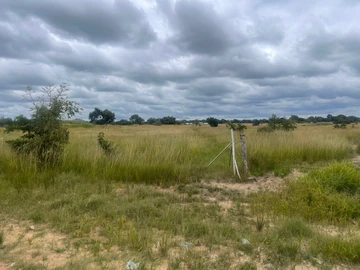 Farm & Agricultural Land