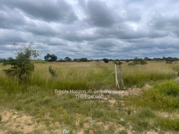 18,000m² Norton Farm — Orchard, Grazing & Main Access