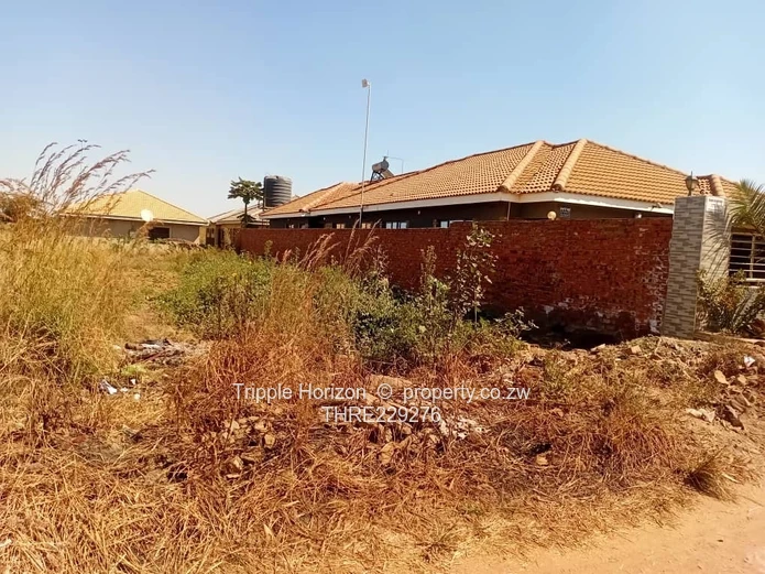 Glaudina stand for sale 