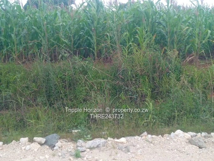 2107 sqm  Horgerty hill Harare North Stand on Gravel Road — Subdivision Potentia.l