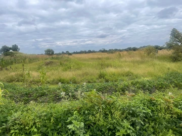 Farm & Agricultural Land