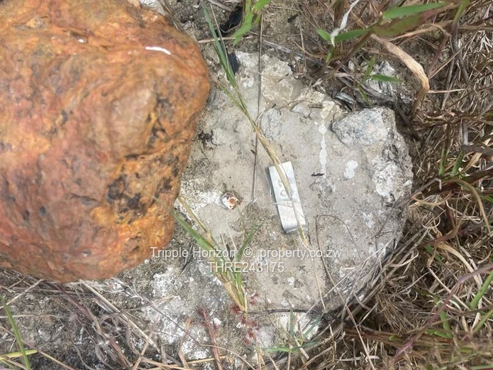 Stands Galore!! Investment Opportunity 