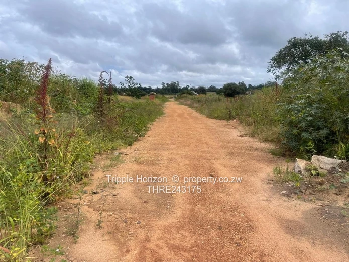 Stands Galore!! Investment Opportunity 