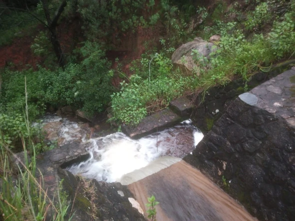 Farm & Agricultural Land