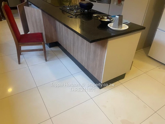 Borrowdale- Sam Levy (Sole Mandate)