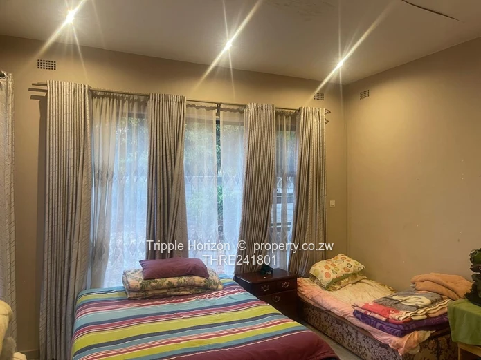 Borrowdale- Sam Levy (Sole Mandate)