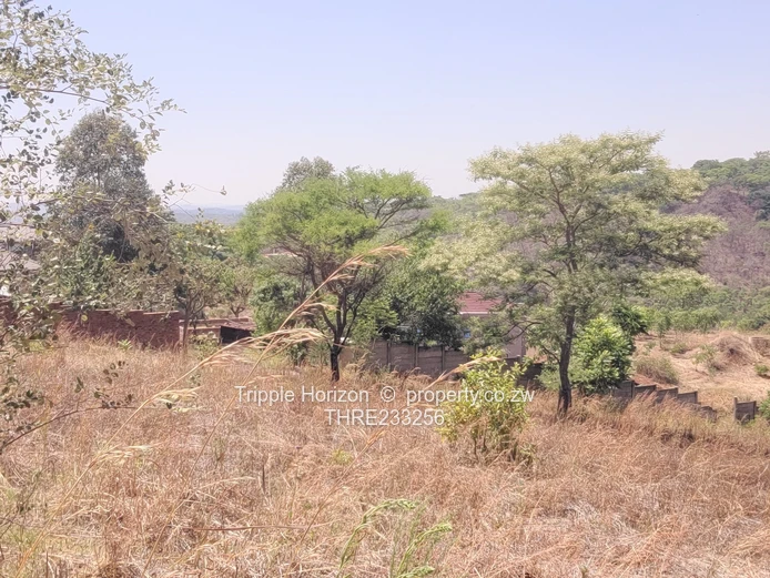 Enormous Investment Opportunity 