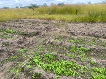 Farm & Agricultural Land